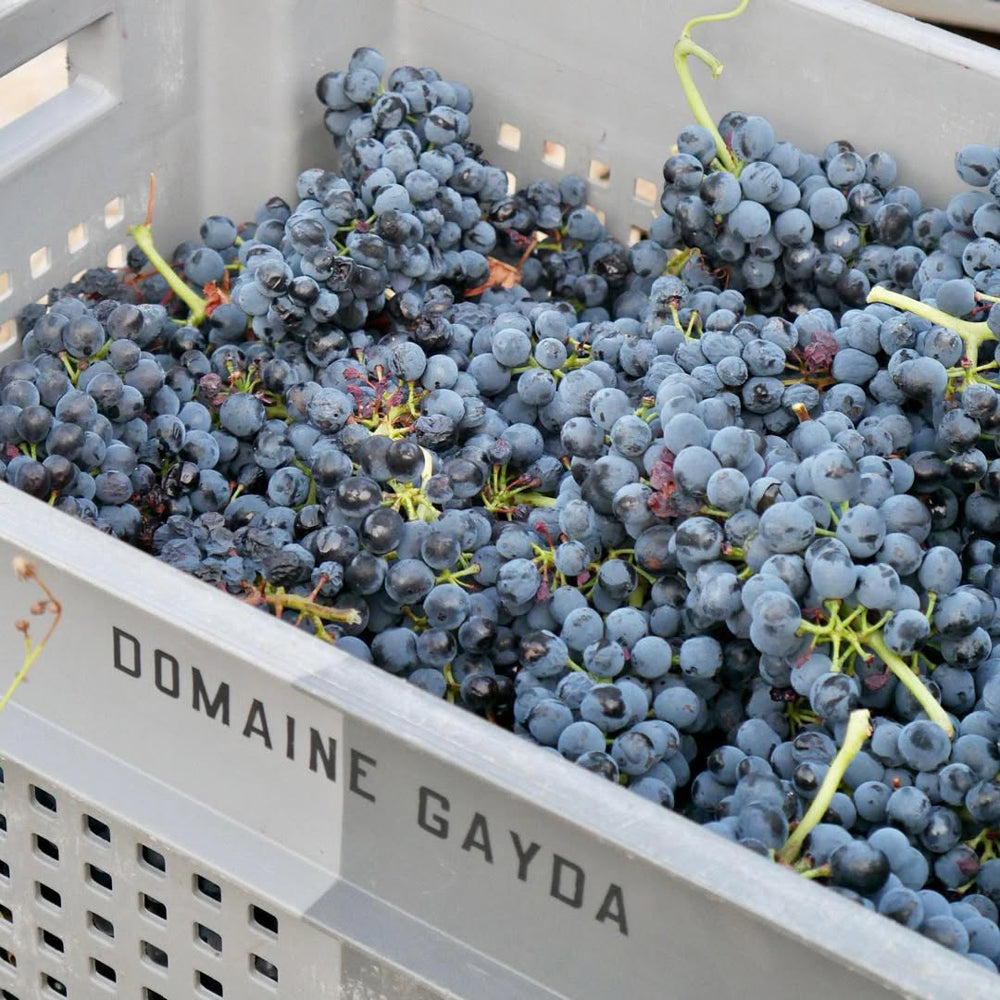 【ギフトカード】フィギュール リーブル フリースタイル ルージュ フランス(赤ワイン)