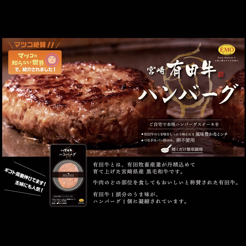 宮崎県産 有田牛ハンバーグ 【150g x 9枚】