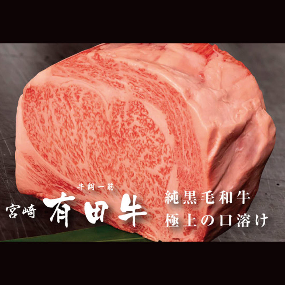 宮崎県産 有田牛ハンバーグ 【150g x 9枚】