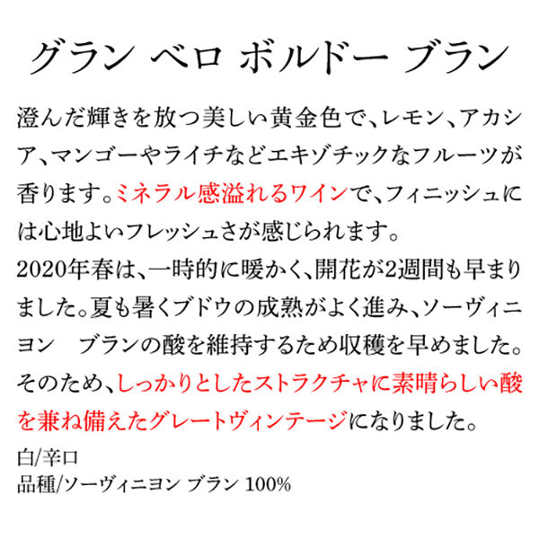 グラン ベロ ボルドー ブラン フランス 白12本【常温便】