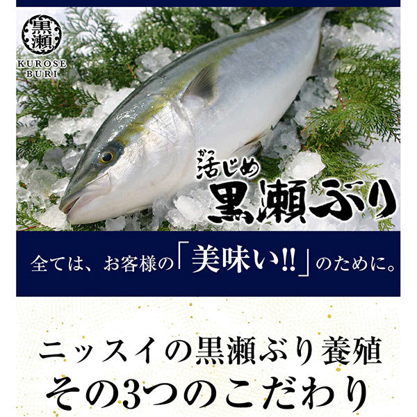 産地直送！活〆黒瀬ぶり フィーレ