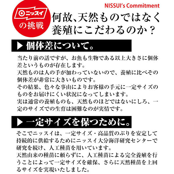 産地直送！活〆黒瀬ぶり フィーレ