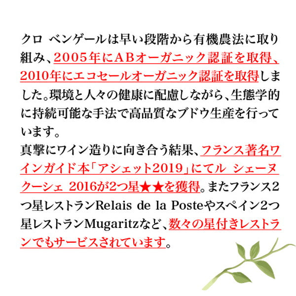 クロ ベンゲール ジュランソン 甘口ワイン2本セット【常温便】