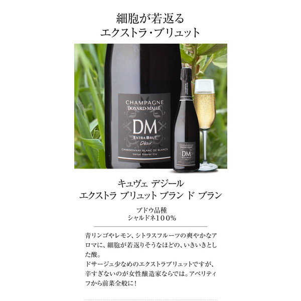 ドヤールマエ(フランス RM シャンパン )飲み比べ 4本セット【クール便】