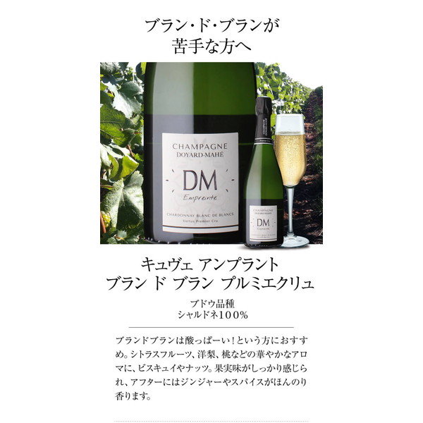 ドヤールマエ(フランス RM シャンパン )飲み比べ 4本セット【クール便】