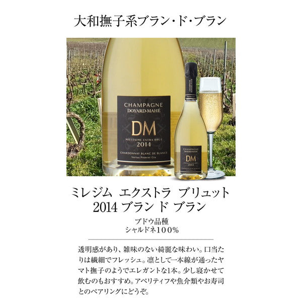 ドヤールマエ(フランス RM シャンパン )飲み比べ 4本セット【クール便】