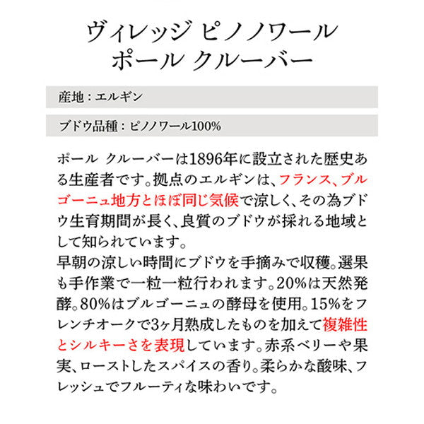 南アフリカ 各部門で評価の高い生産者を楽しむ 5本セット(赤3白1泡1)【常温便】